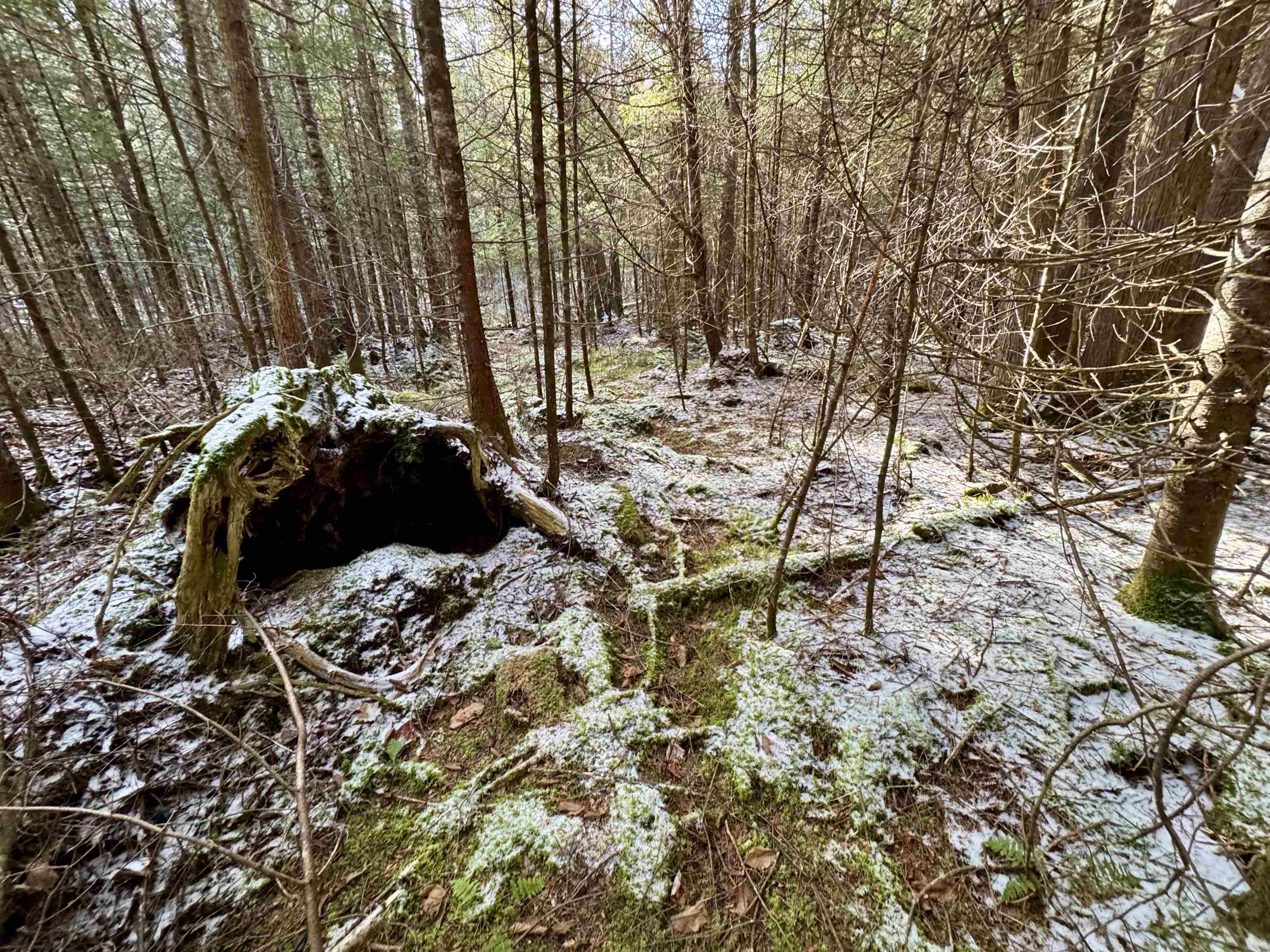 663 Ferguson Road Barnet, VT 05821 - Photo 8 of 18