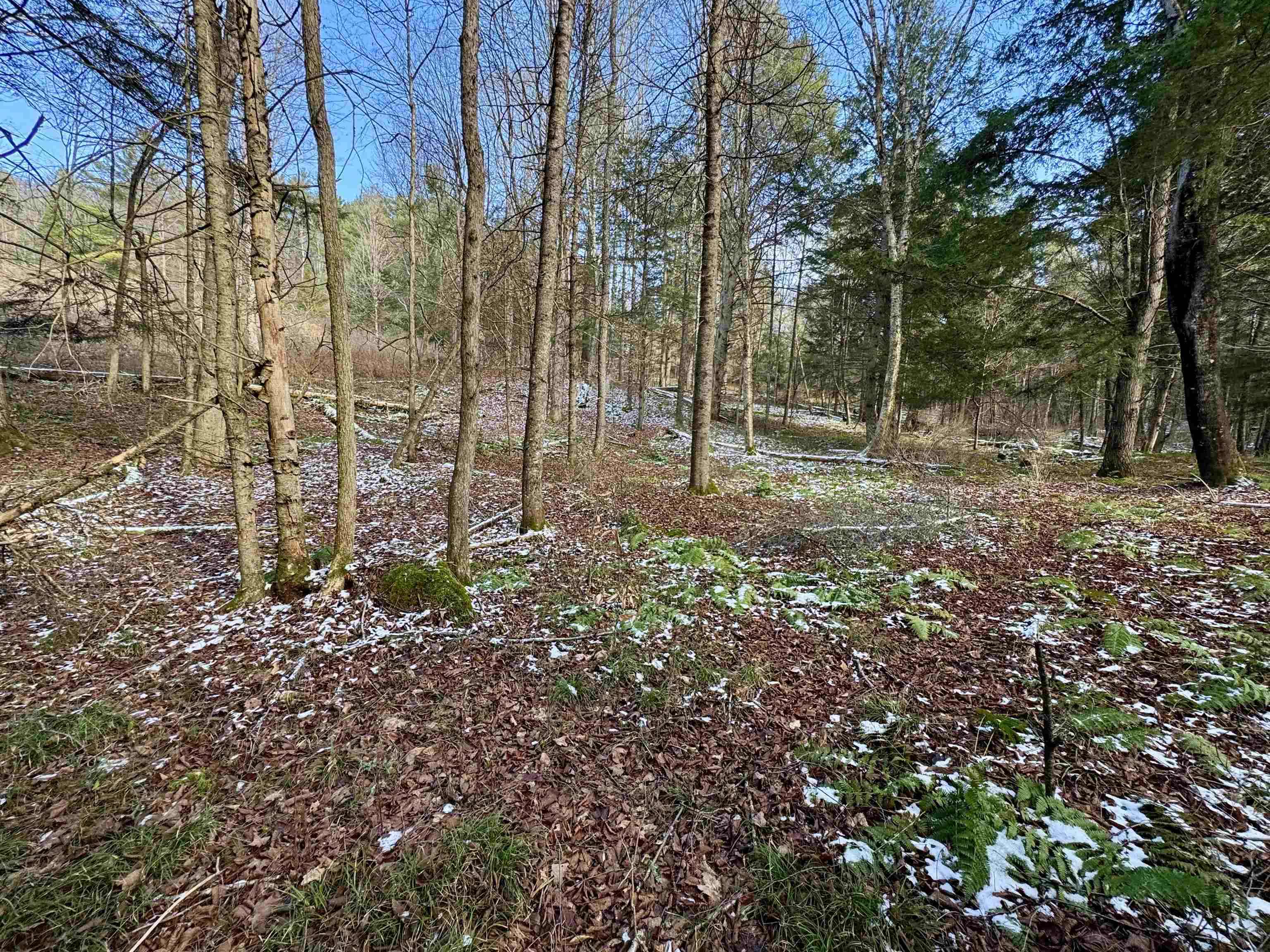 663 Ferguson Road Barnet, VT 05821 - Photo 9 of 18