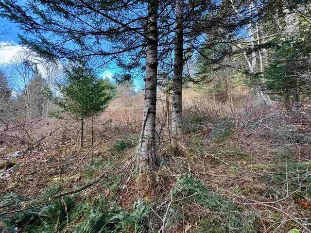 $250,000 | 663 Ferguson Road, Barnet, VT 05821