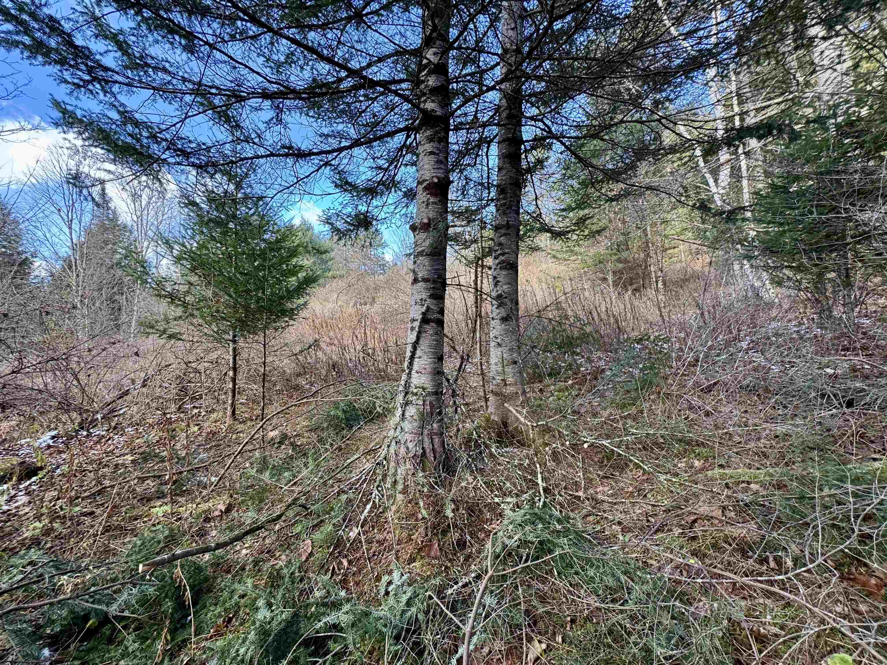 663 Ferguson Road Barnet, VT 05821 - Photo 10 of 18