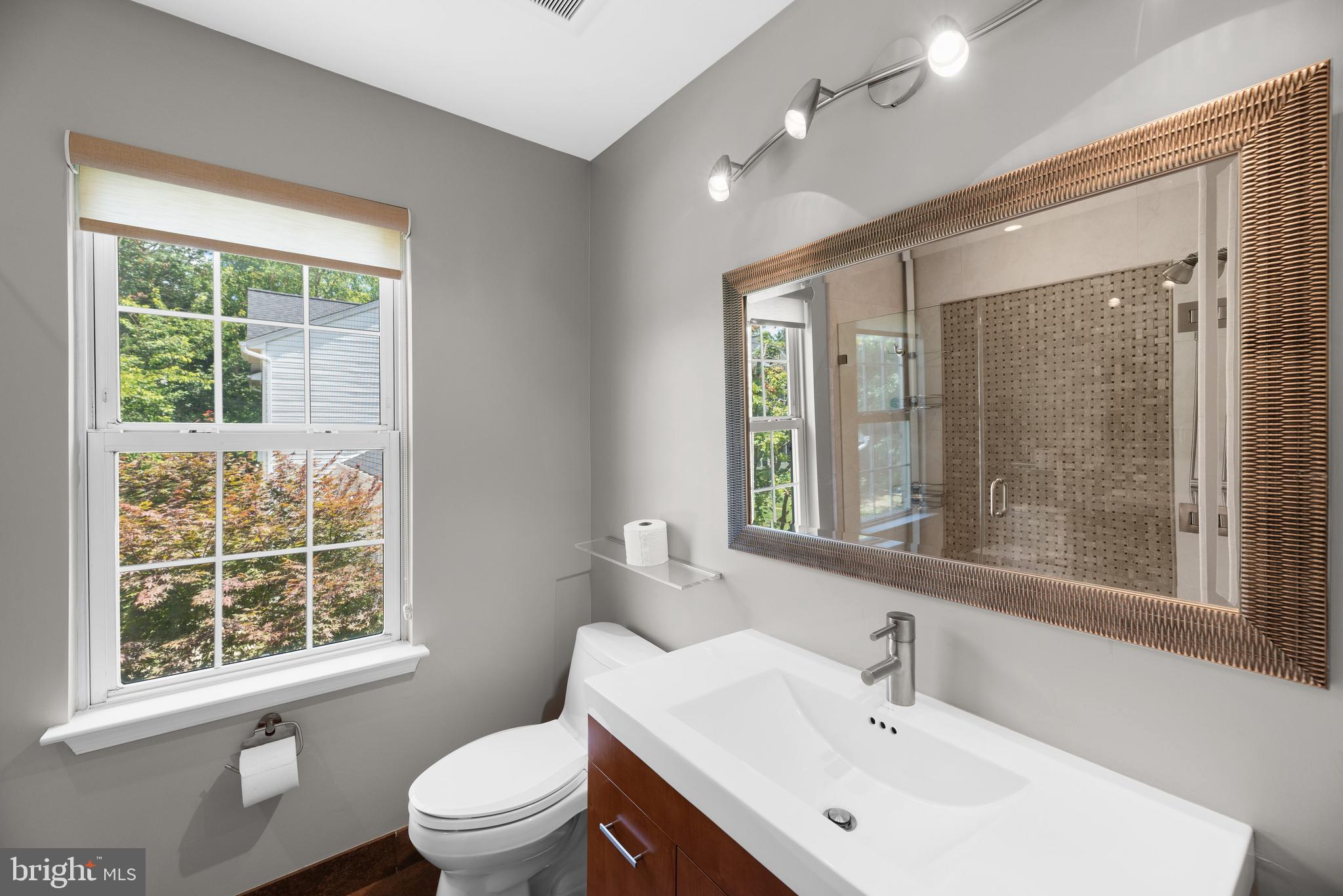 6478 Empty Song Road Columbia, MD 21044 - Photo 31 of 47 Full Bath