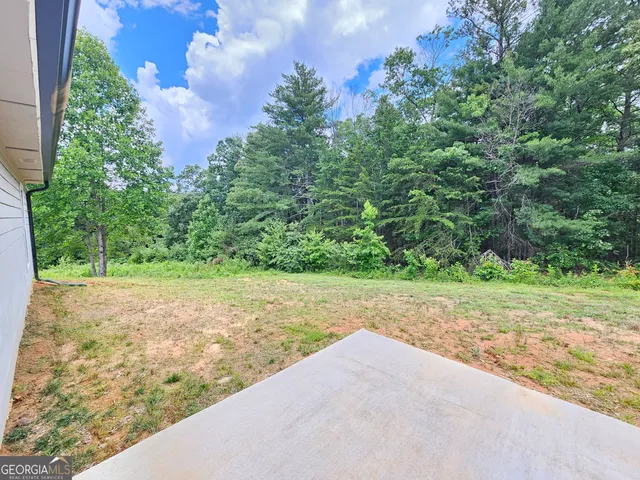 a view of a yard with a tree