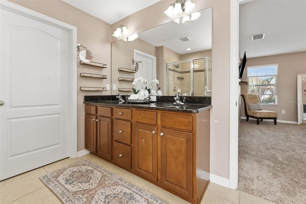 6058 Fishhawk Crossing Boulevard Lithia, FL 33547 - Photo 14 of 47 a spacious bathroom with a granite countertop sink and a mirror