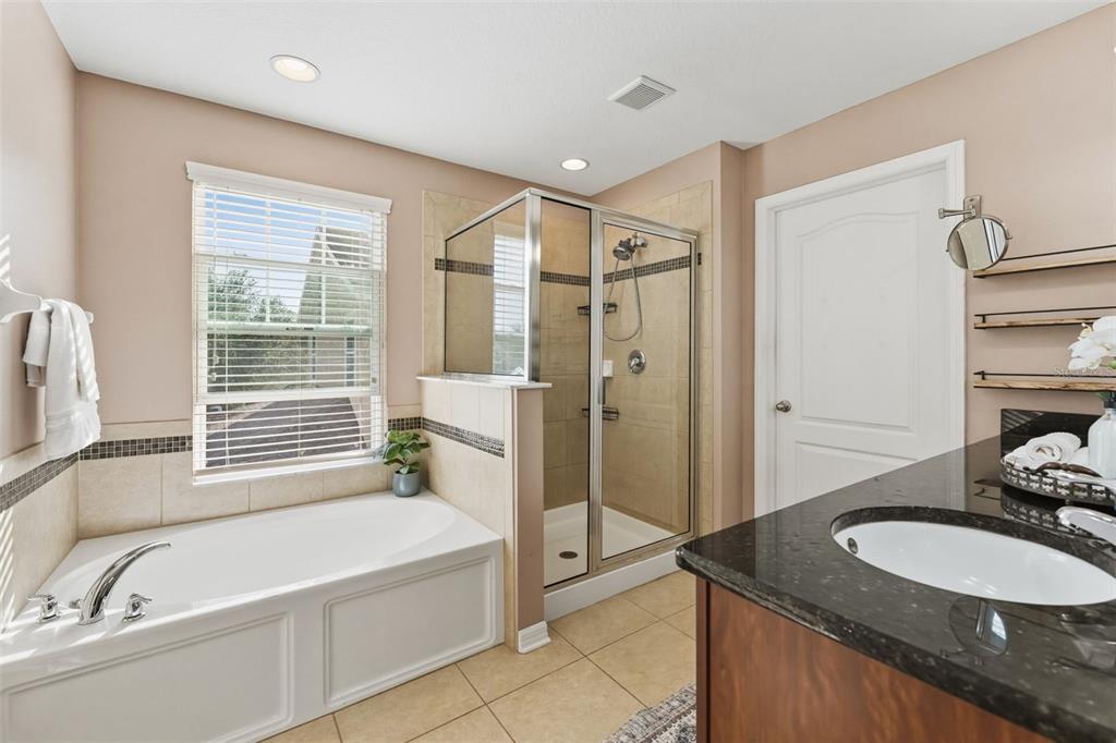 6058 Fishhawk Crossing Boulevard Lithia, FL 33547 - Photo 20 of 47 a bathroom with a granite countertop tub sink and mirror