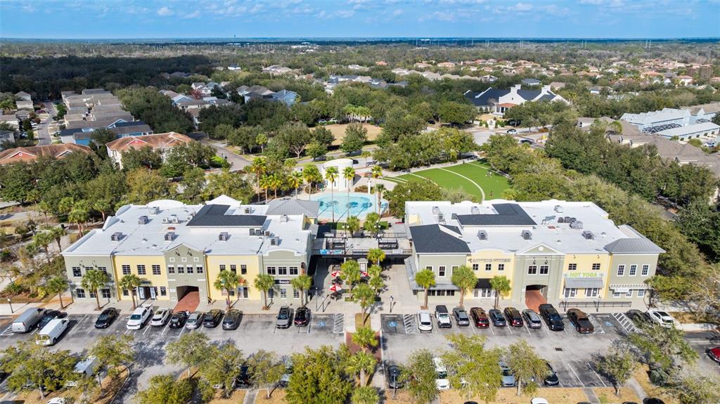6058 Fishhawk Crossing Boulevard Lithia, FL 33547 - Photo 36 of 47 an aerial view of multiple house