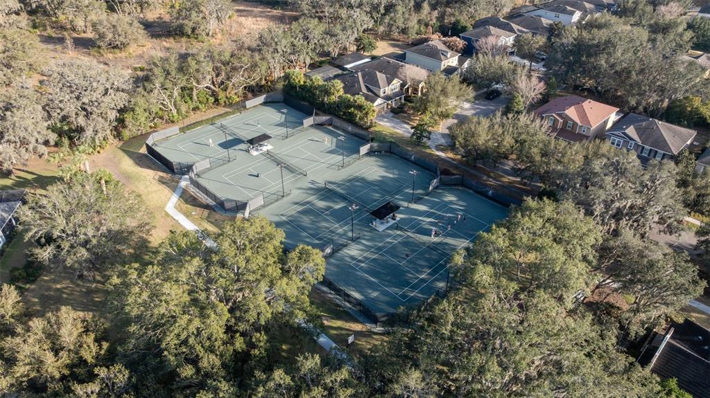 6058 Fishhawk Crossing Boulevard Lithia, FL 33547 - Photo 41 of 47 an aerial view of residential house with outdoor space