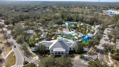 a view of a yard with plants and large trees