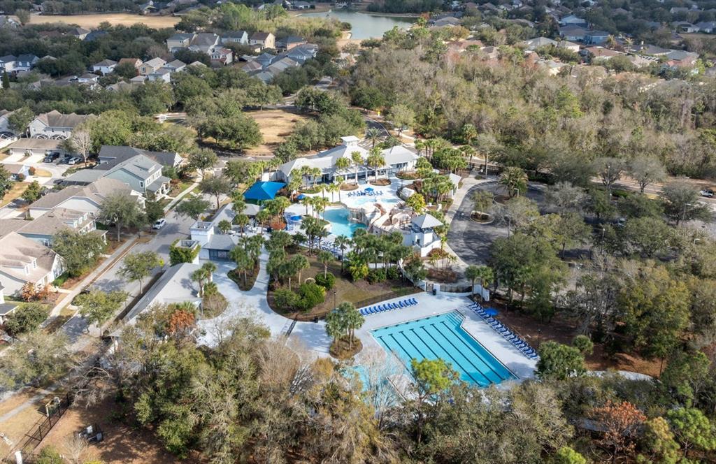 6058 Fishhawk Crossing Boulevard Lithia, FL 33547 - Photo 44 of 46