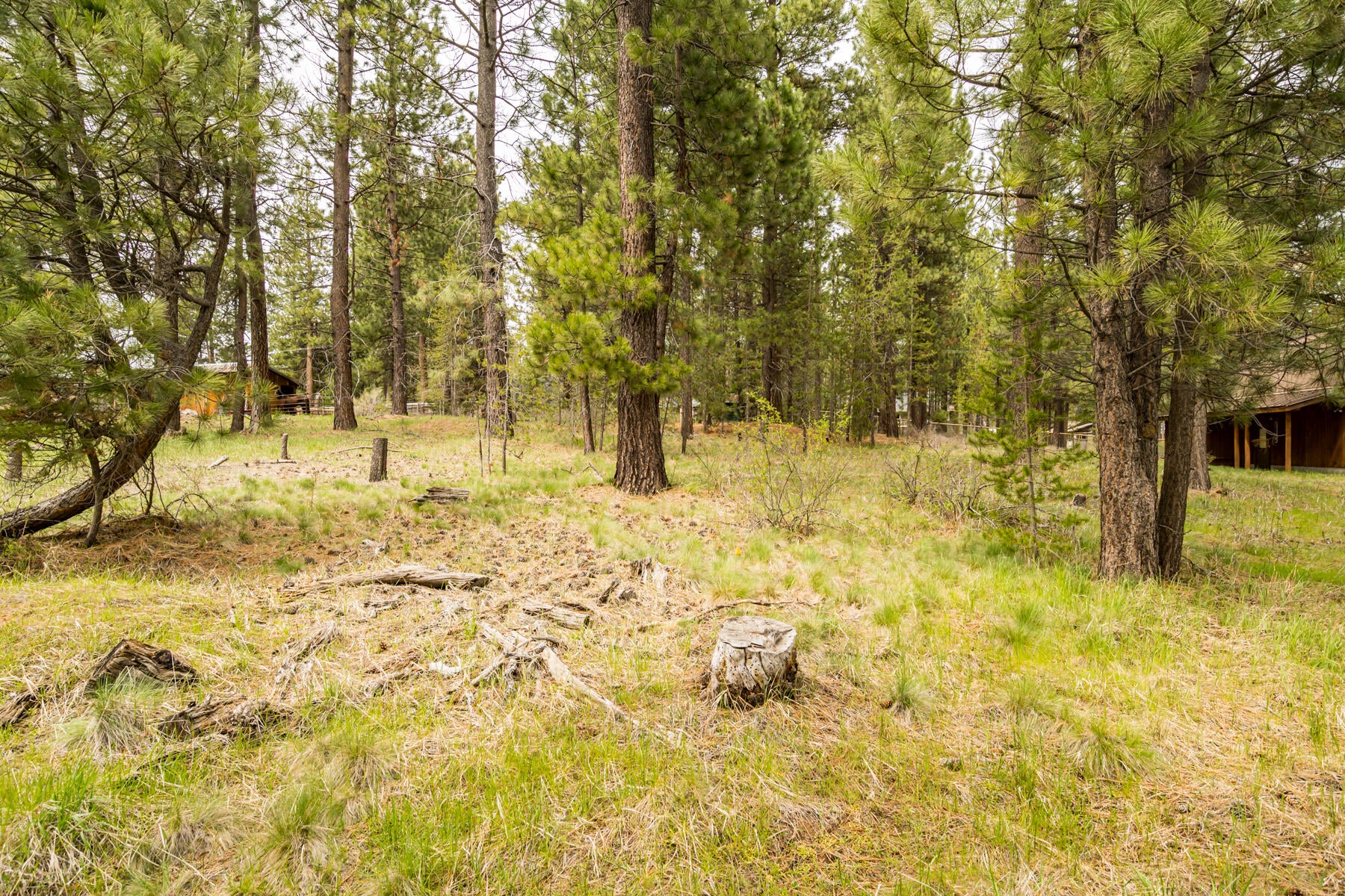 16912 Elsinore Road Bend, OR 97707 - Photo 7 of 15 JH5_9483