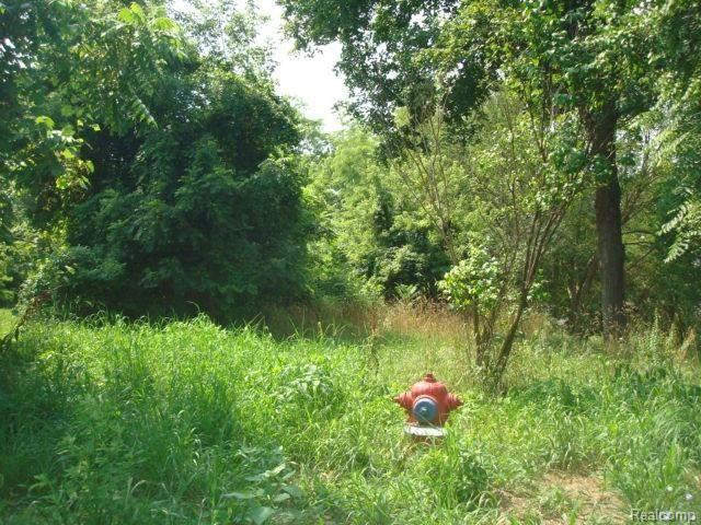 0 East Tienken Road Rochester, MI 48307 - Photo 6 of 9