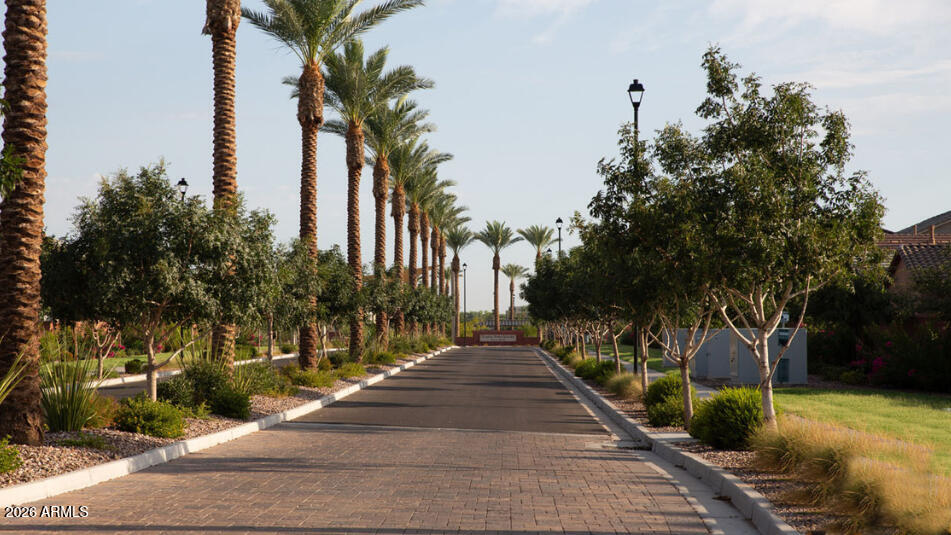 4245 East Jesse Street Gilbert, AZ 85295 - Photo 3 of 35 Cooley Station Photo 001