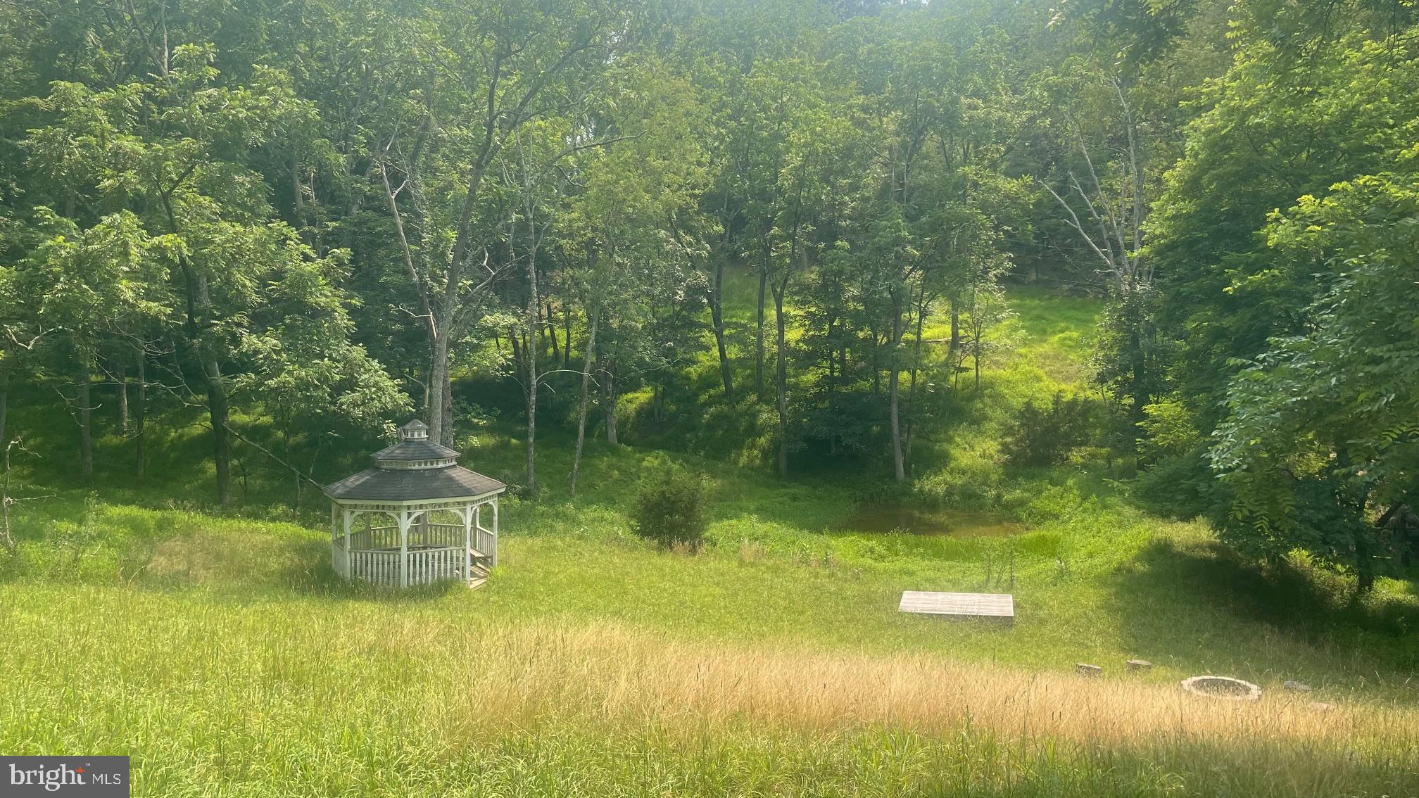 1285 Boggs Lane Mathias, WV 26812 - Photo 44 of 50