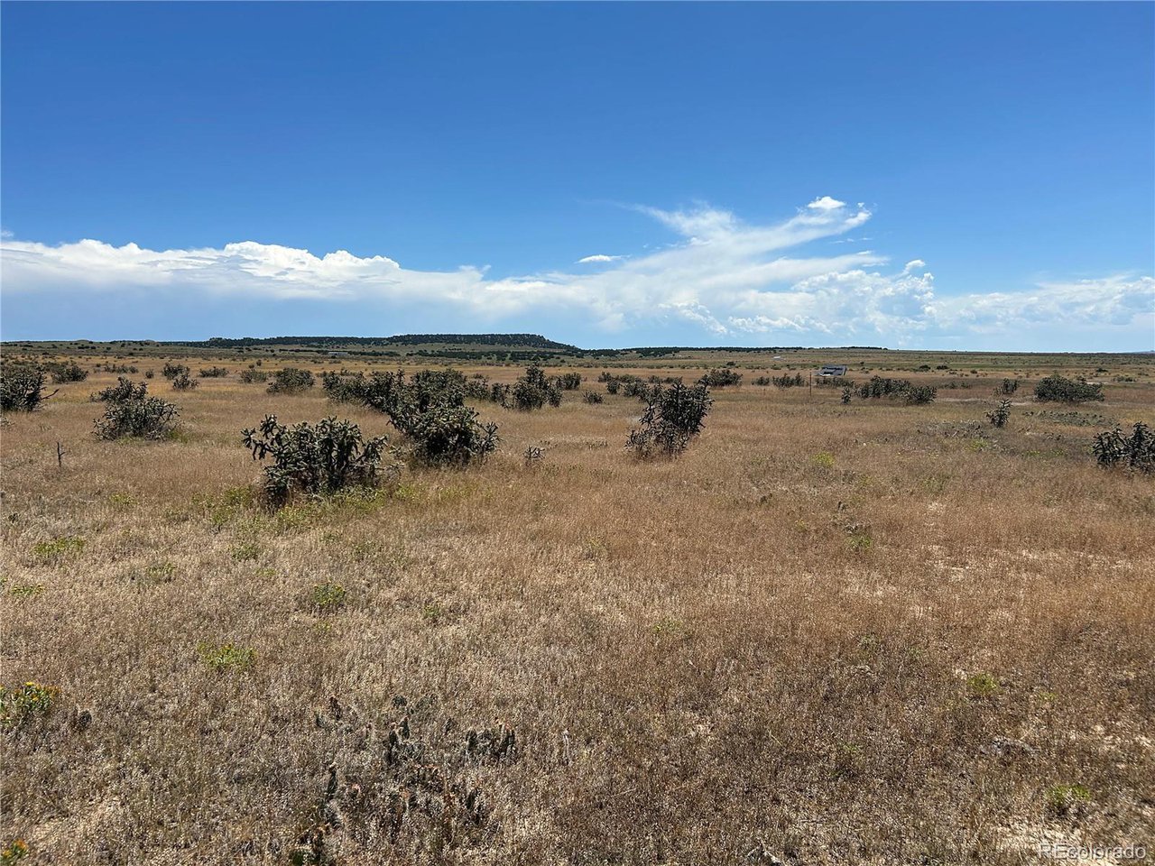 4 Outback Ranch Model, CO 81059 - Photo 10 of 19