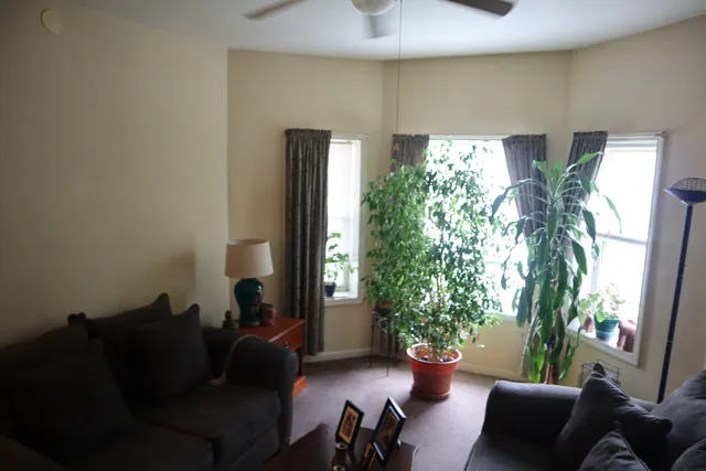 a living room with furniture and a potted plant