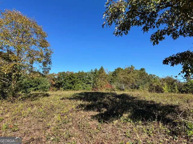 a view of a tree with a yard