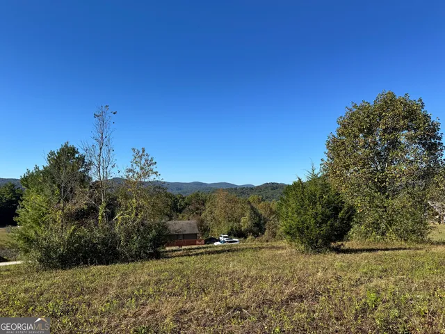 a view of a town with trees in the background