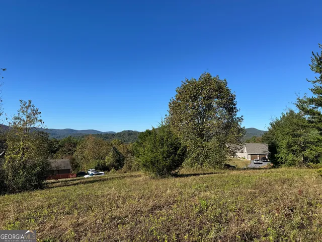 a view of a dry yard with green space
