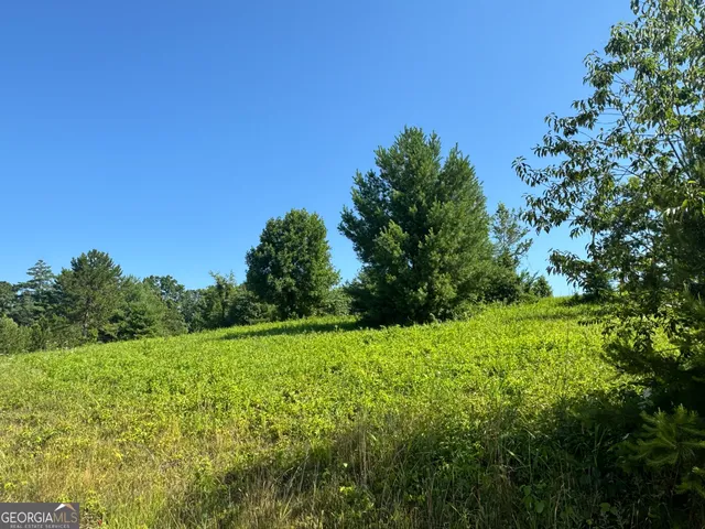 a view of a field with plants in front of it
