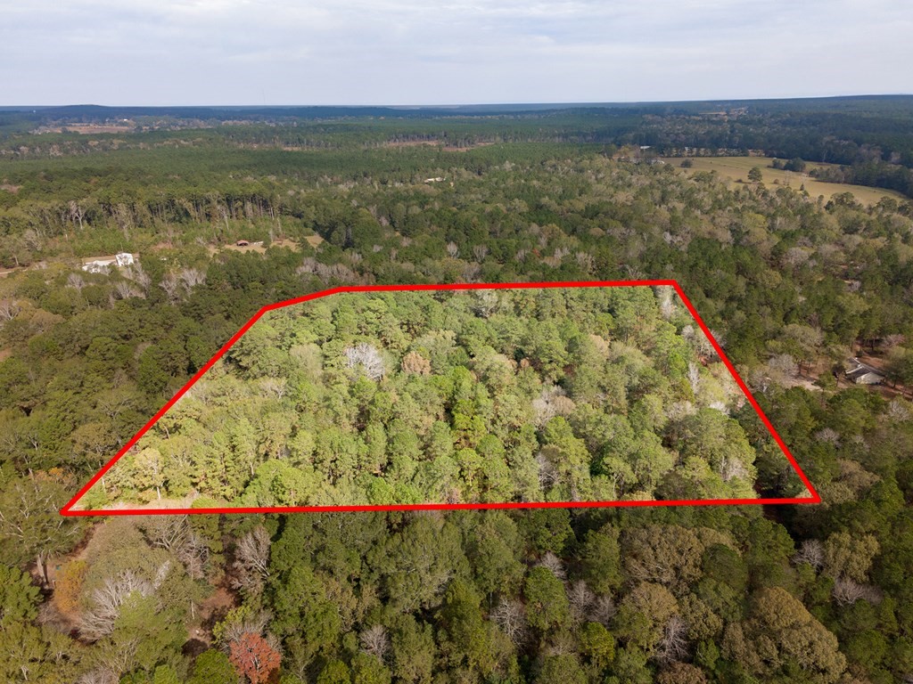 L18 John Keely Road Zavalla, TX 75980 - Photo 4 of 10 a view of lake