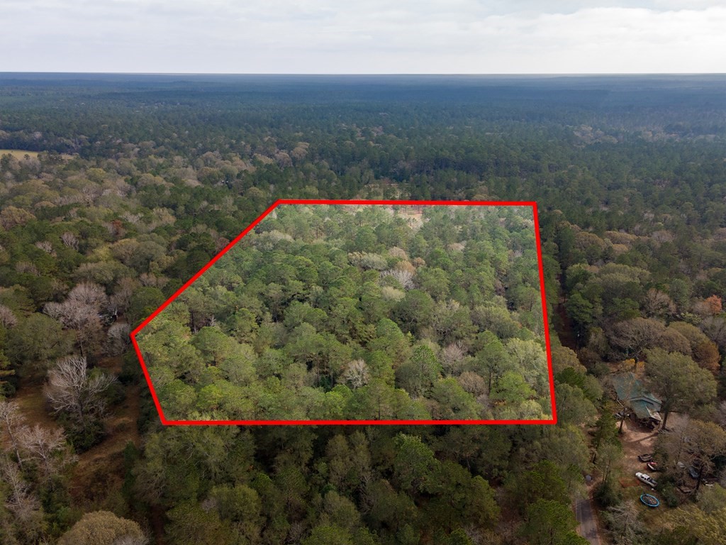 L18 John Keely Road Zavalla, TX 75980 - Photo 6 of 10 a view of a yard