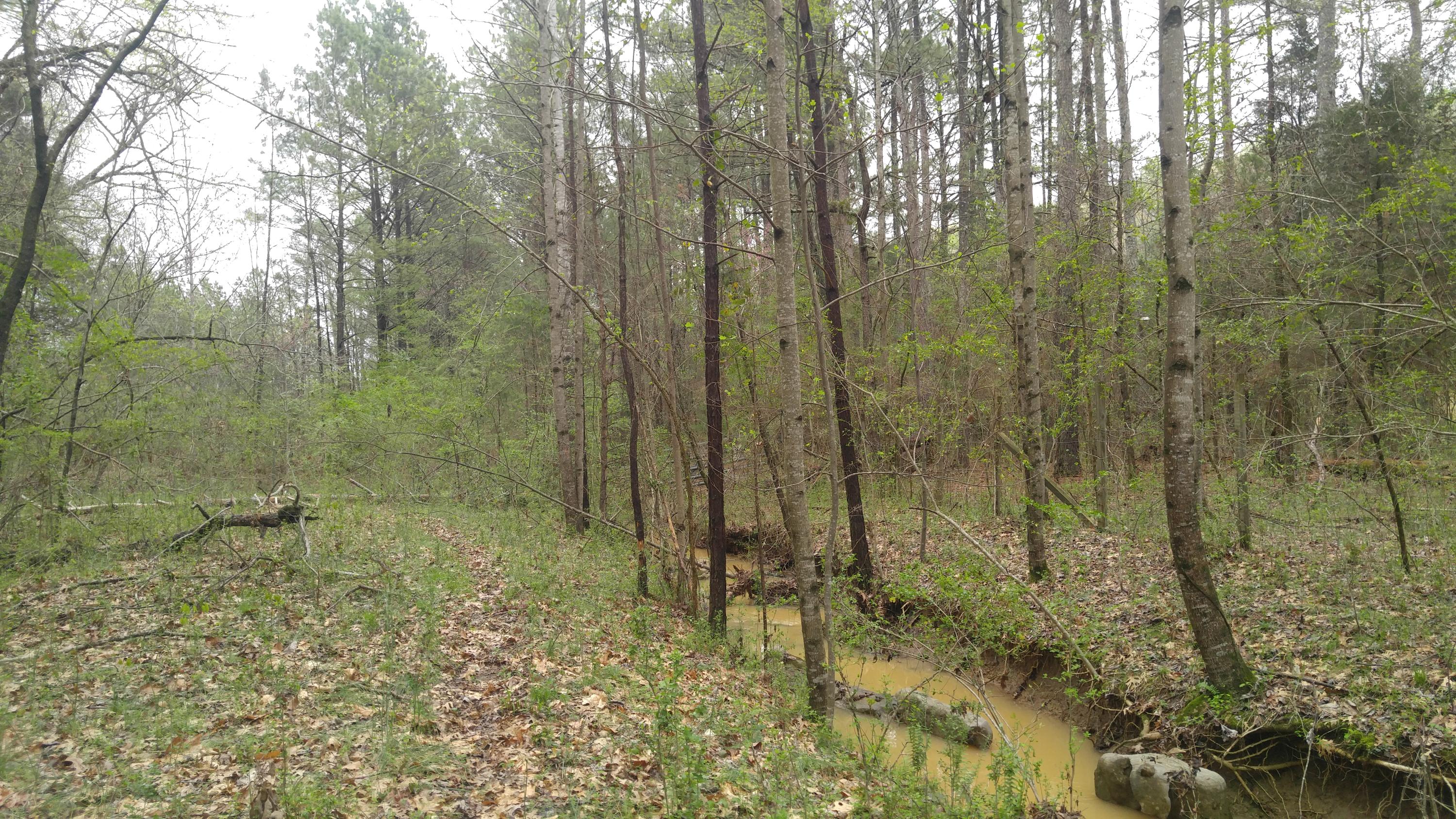 4450 Straight Gut Road LaFayette, GA 30728 - Photo 21 of 26 0405171342b