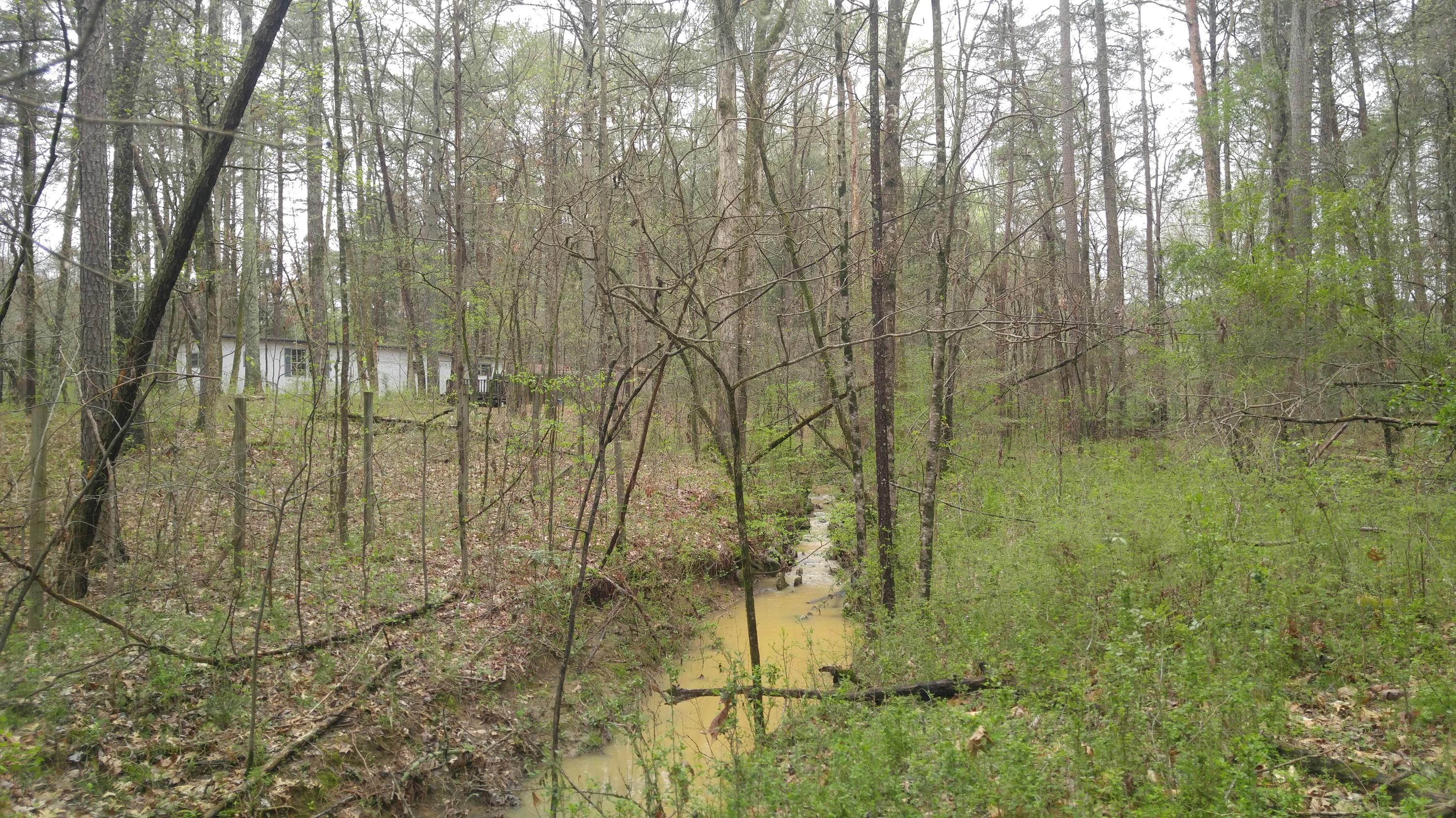 4450 Straight Gut Road LaFayette, GA 30728 - Photo 22 of 26 0405171343