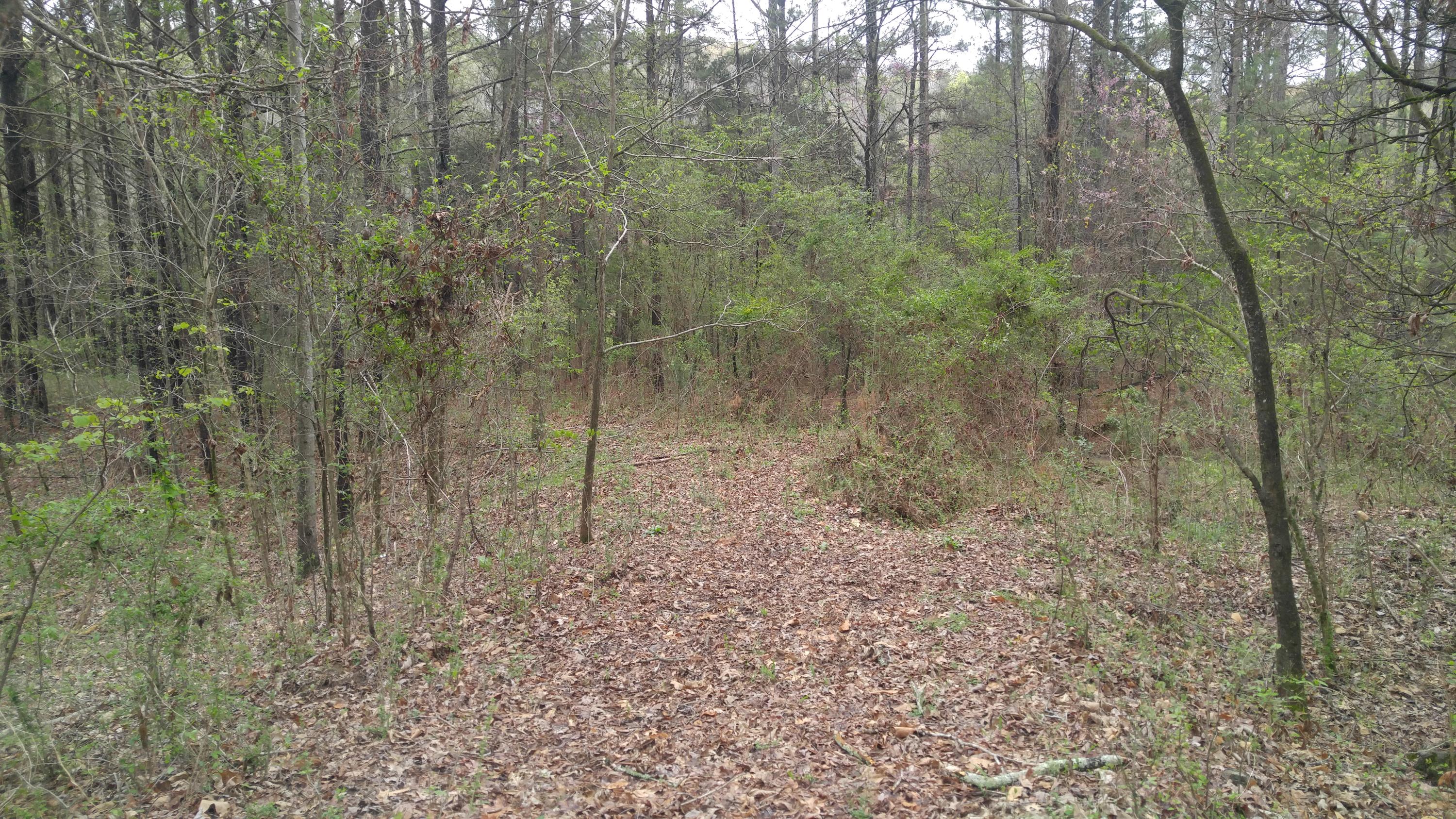 4450 Straight Gut Road LaFayette, GA 30728 - Photo 23 of 26 0405171344