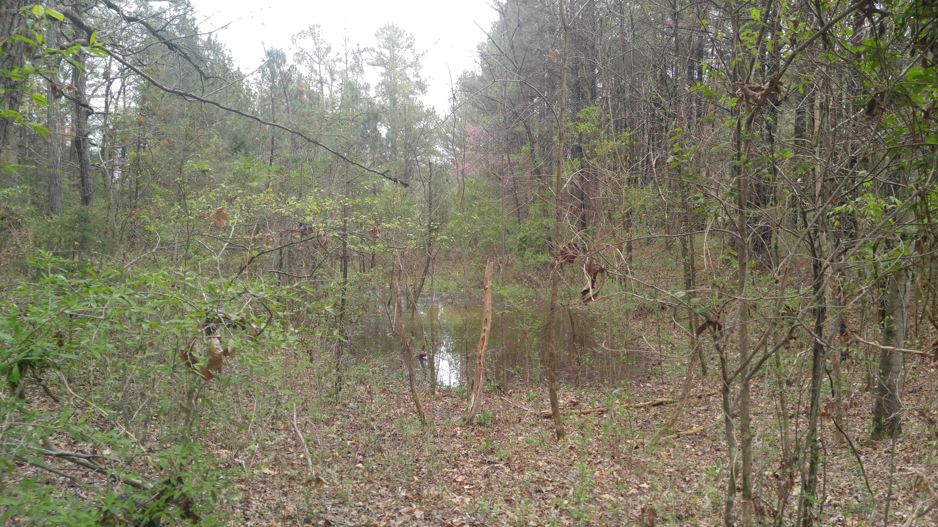 4450 Straight Gut Road LaFayette, GA 30728 - Photo 24 of 26 0405171344a