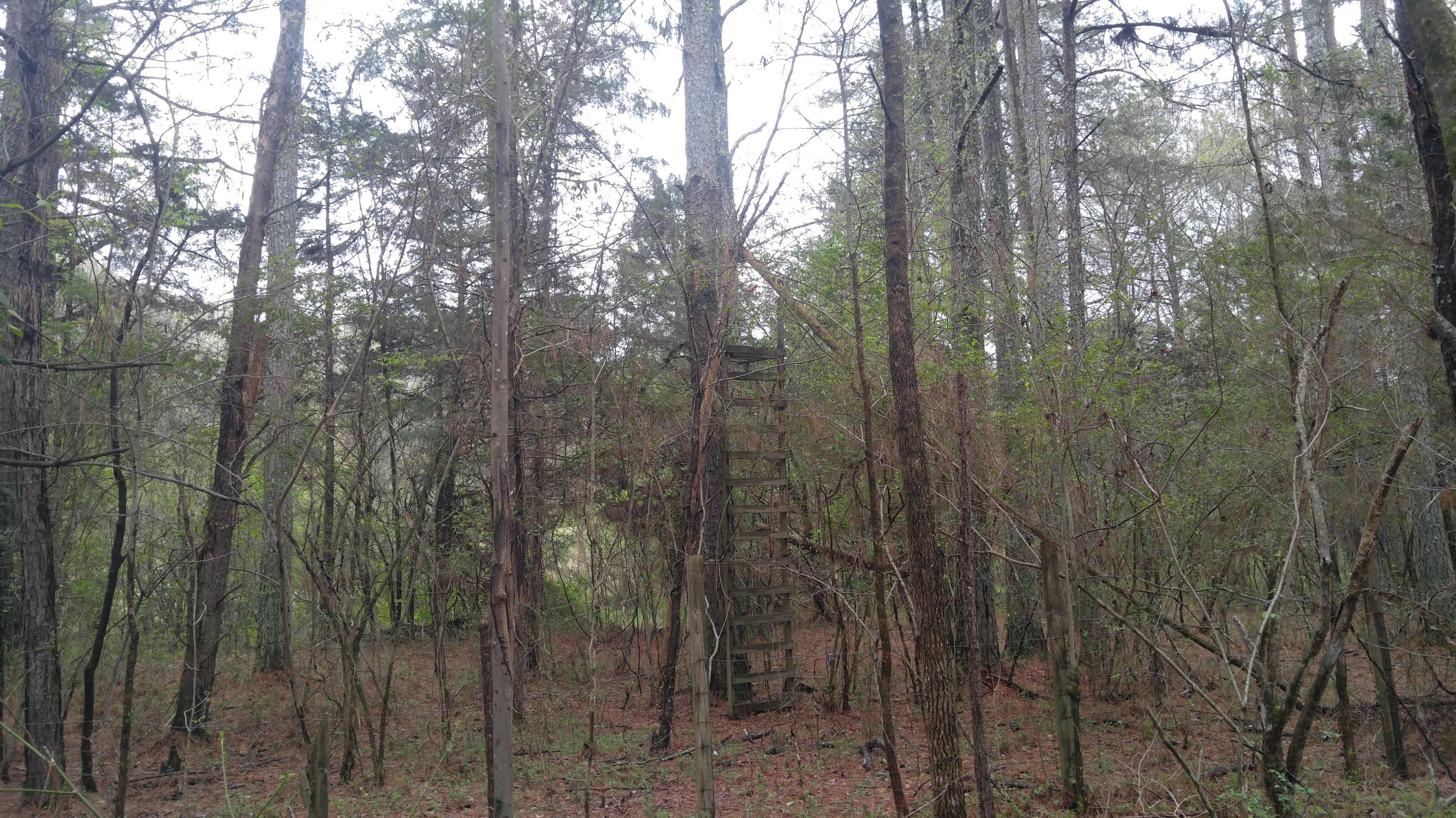 4450 Straight Gut Road LaFayette, GA 30728 - Photo 26 of 26 0405171345a