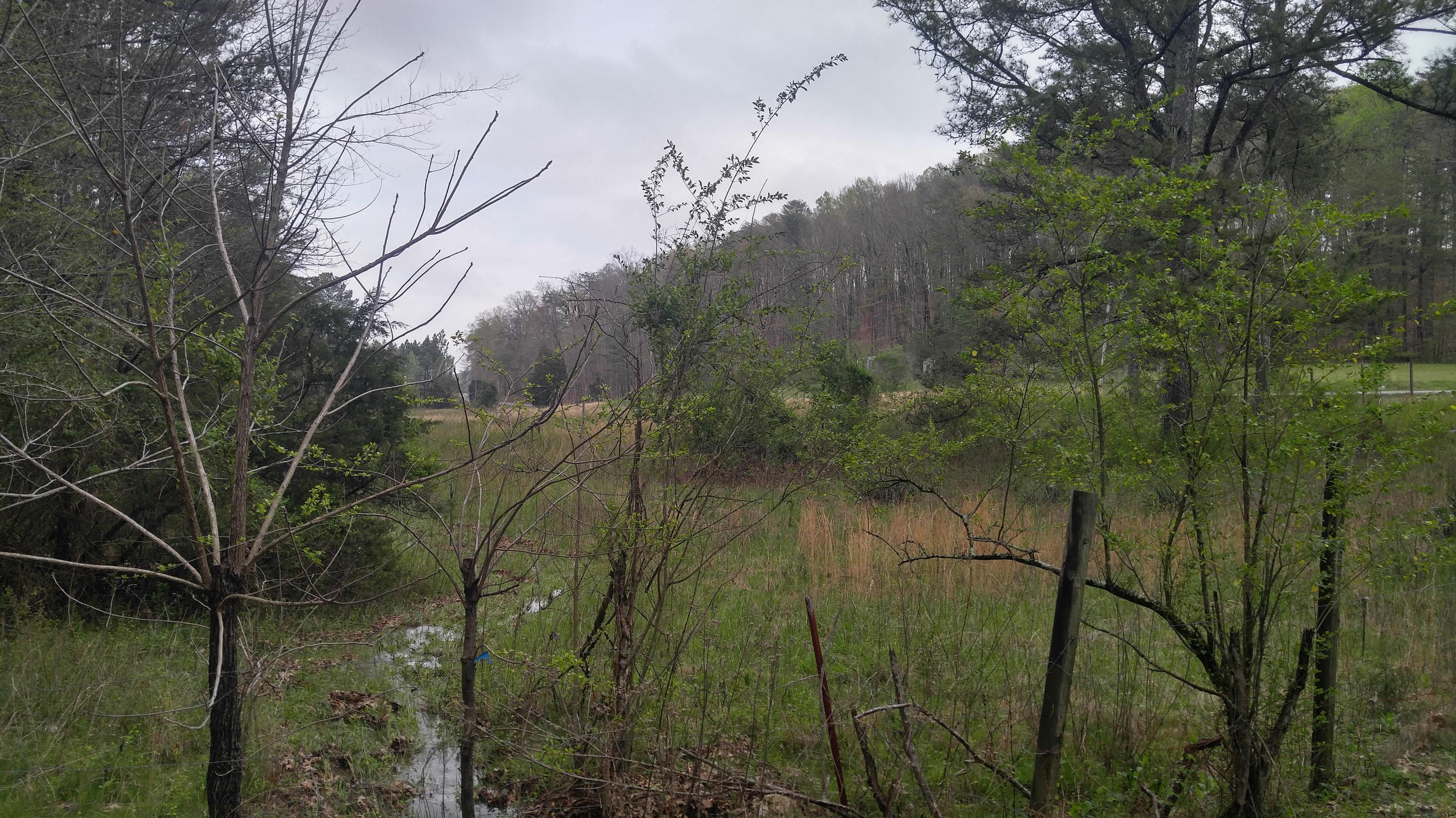 4450 Straight Gut Road LaFayette, GA 30728 - Photo 3 of 26 0405171332_HDR