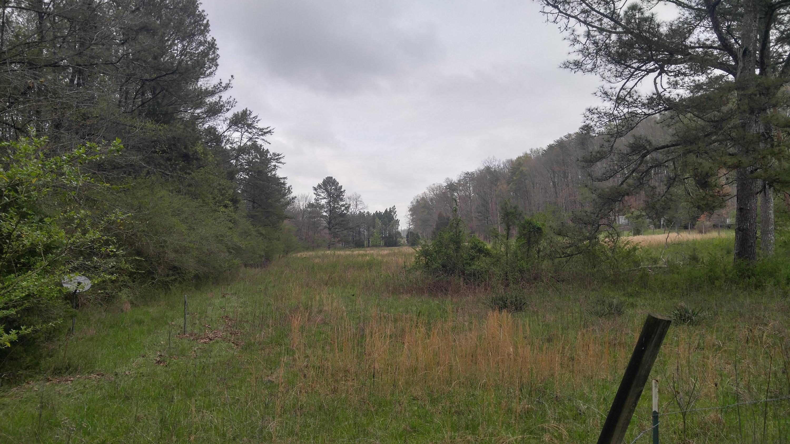 4450 Straight Gut Road LaFayette, GA 30728 - Photo 6 of 26 0405171333_HDR