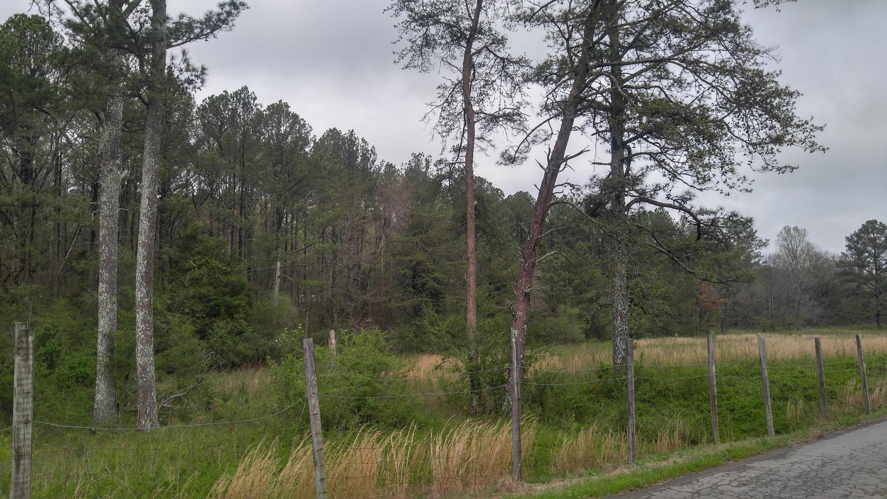 4450 Straight Gut Road LaFayette, GA 30728 - Photo 7 of 26 0405171334_HDR