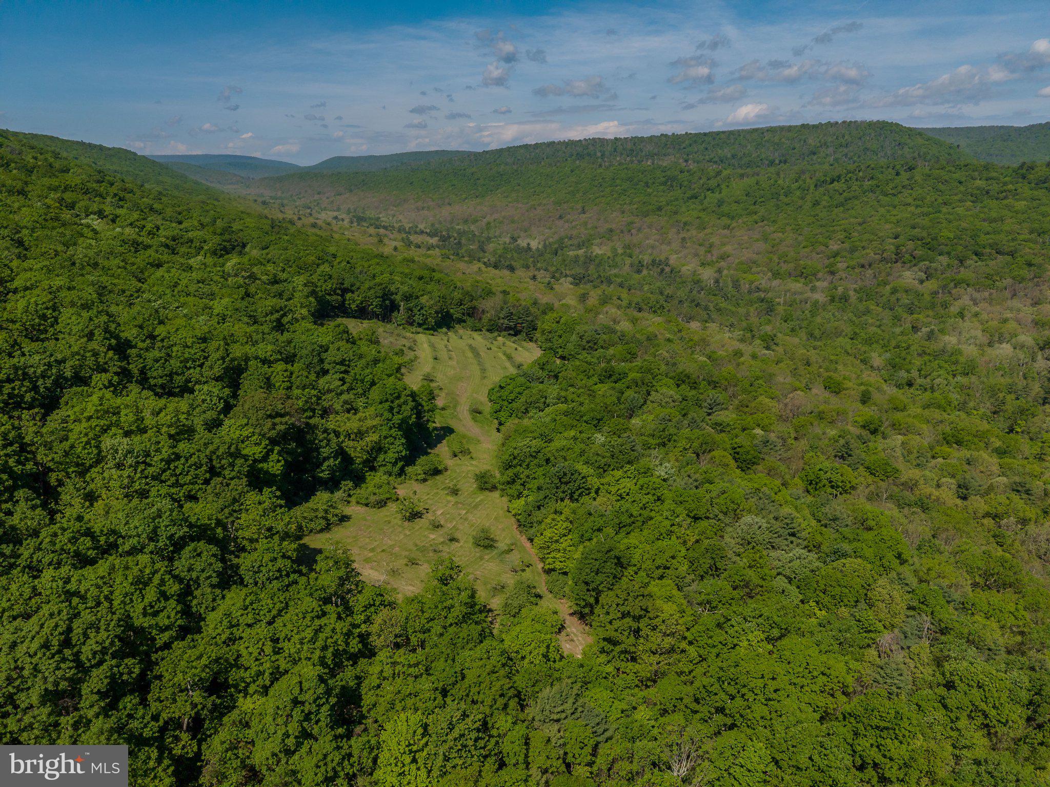 1520 Lingle Valley Road Milroy, PA 17063 - Photo 4 of 144 Lush green hills under a clear sky.