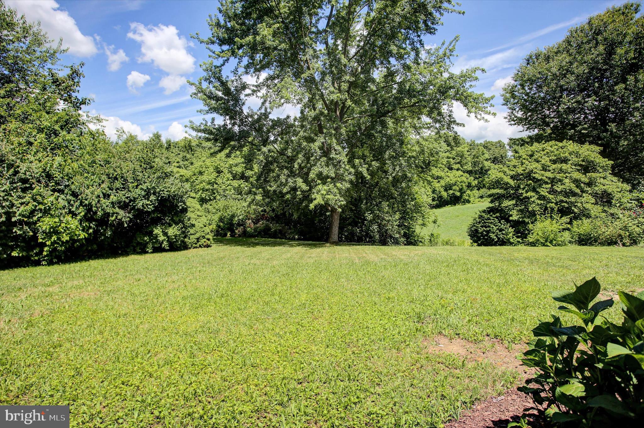 1553 Brechbill Road Chambersburg, PA 17202 - Photo 42 of 45 a view of outdoor space and yard