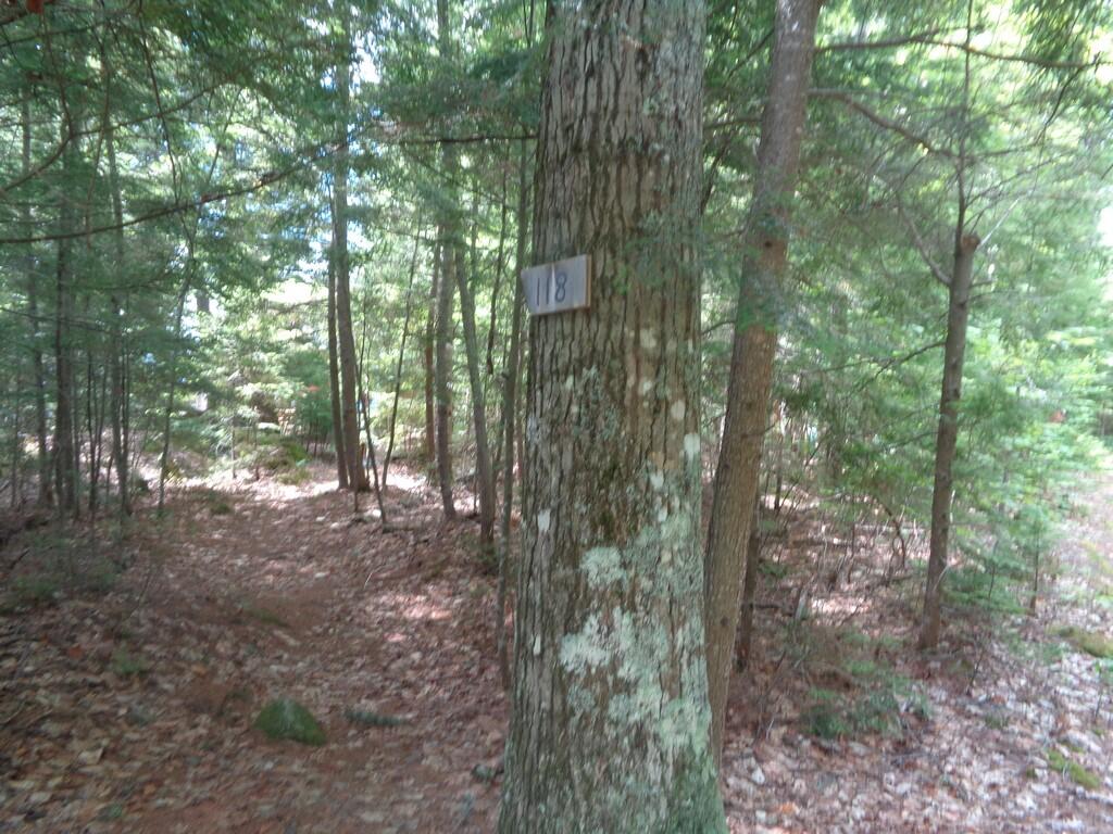 118 Twin Lakes Road Millinocket, ME 04462 - Photo 64 of 68 DSC05125 (Copy)