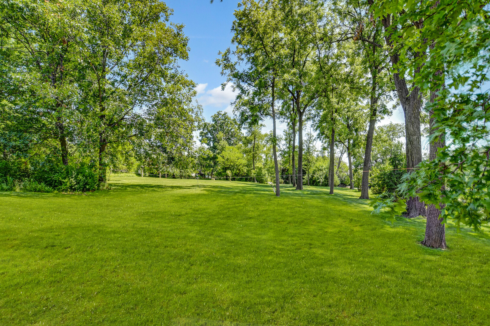 1383 Gordon Lane Lemont, IL 60439 - Photo 39 of 54 a view of green field with trees