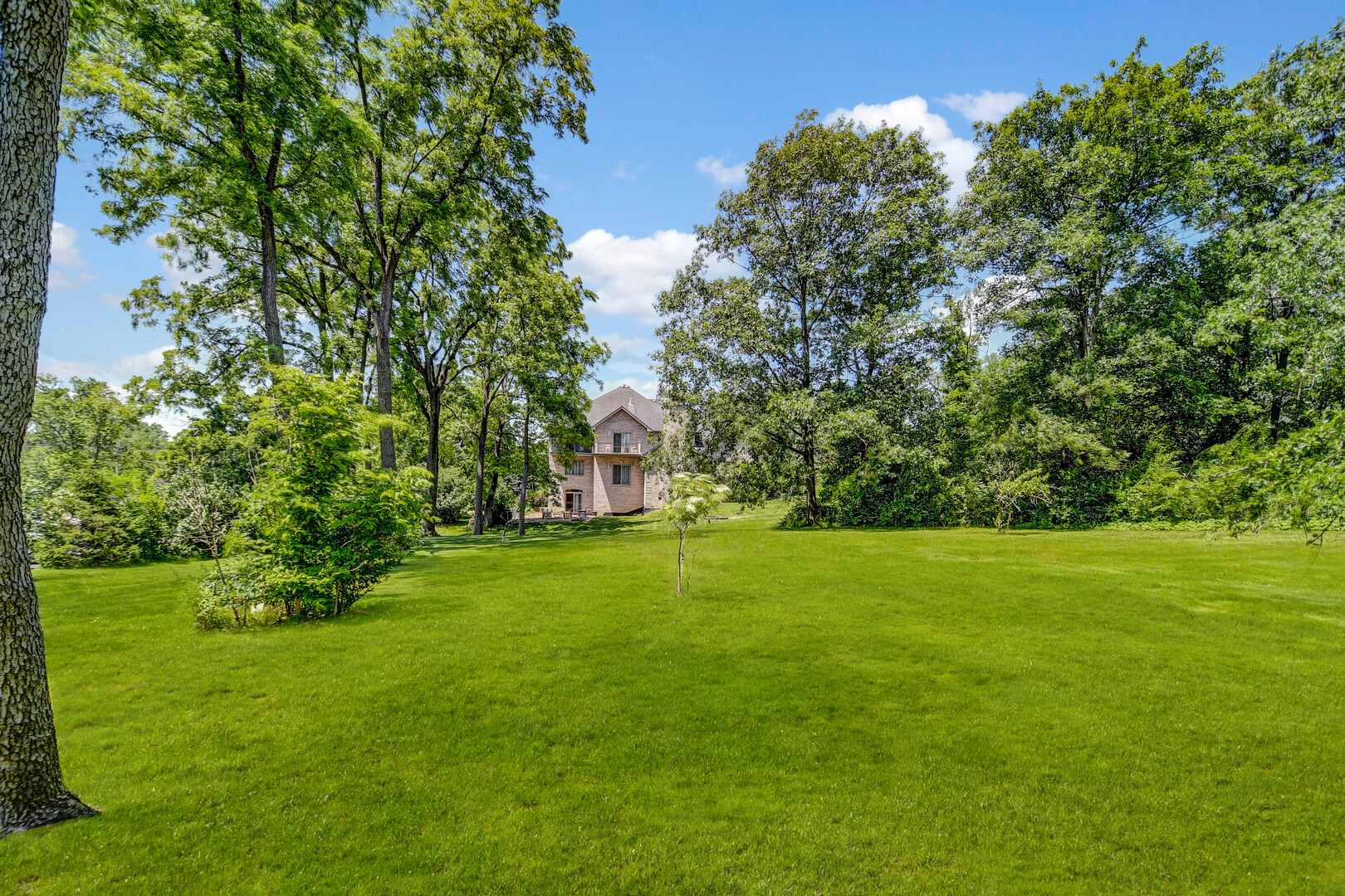 1383 Gordon Lane Lemont, IL 60439 - Photo 40 of 54 a view of a grassy field with trees