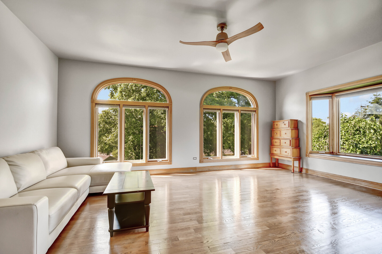 1383 Gordon Lane Lemont, IL 60439 - Photo 4 of 54 a view of a livingroom with furniture window wooden floor and a fireplace