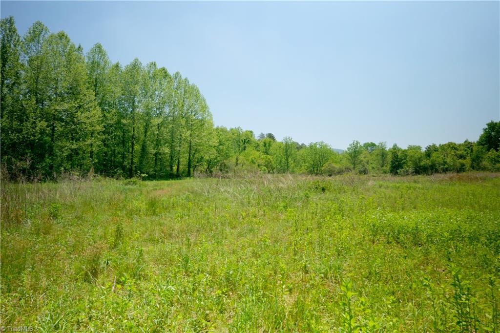 2 Morrison Road Morganton, NC 28655 - Photo 5 of 13