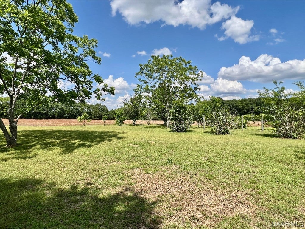 579 Mitchell Road Hartford, AL 36344 - Photo 25 of 49 Gallery Image 25