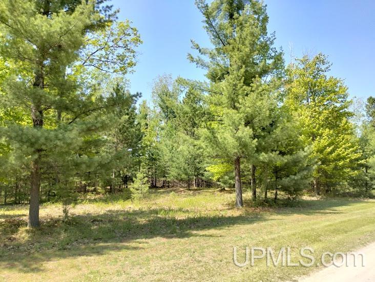 10441 Breezy R.22 Lane Rapid River, MI 49878 - Photo 2 of 5