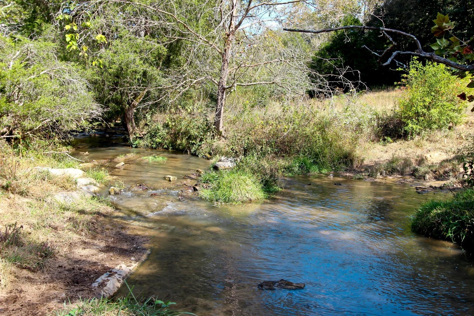4 Timber Ridge Road Greeneville, TN 37743 - Photo 14 of 30 IMG_3438