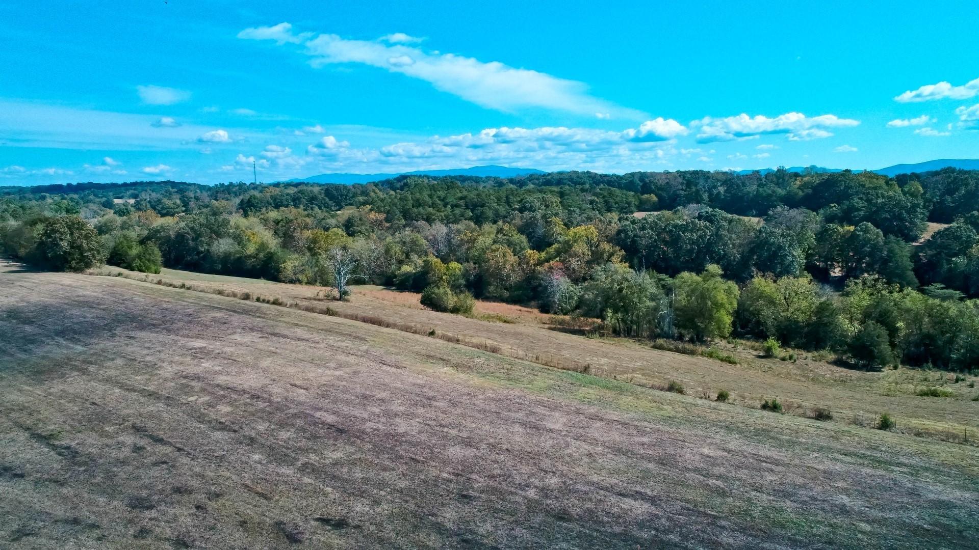 4 Timber Ridge Road Greeneville, TN 37743 - Photo 3 of 30 DJI_0072