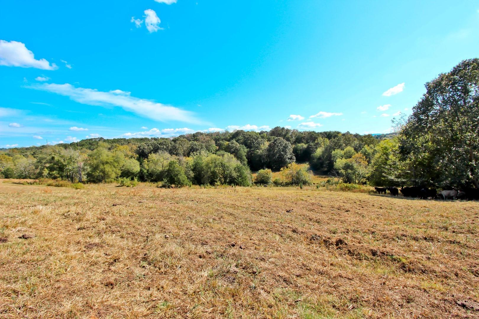 4 Timber Ridge Road Greeneville, TN 37743 - Photo 22 of 30 IMG_3436