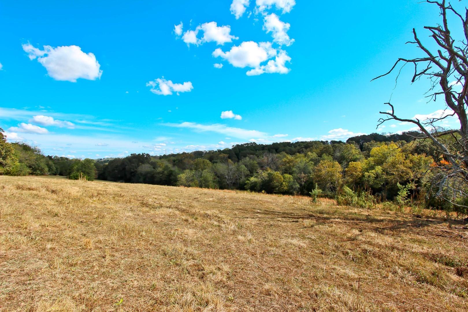 4 Timber Ridge Road Greeneville, TN 37743 - Photo 23 of 30 IMG_3444