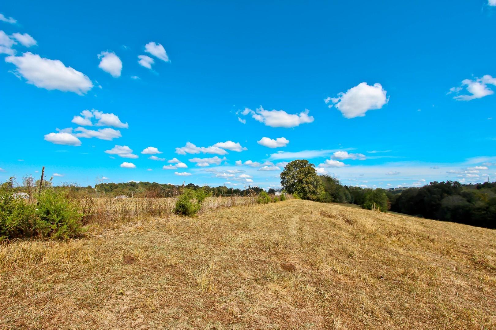 4 Timber Ridge Road Greeneville, TN 37743 - Photo 24 of 30 IMG_3445
