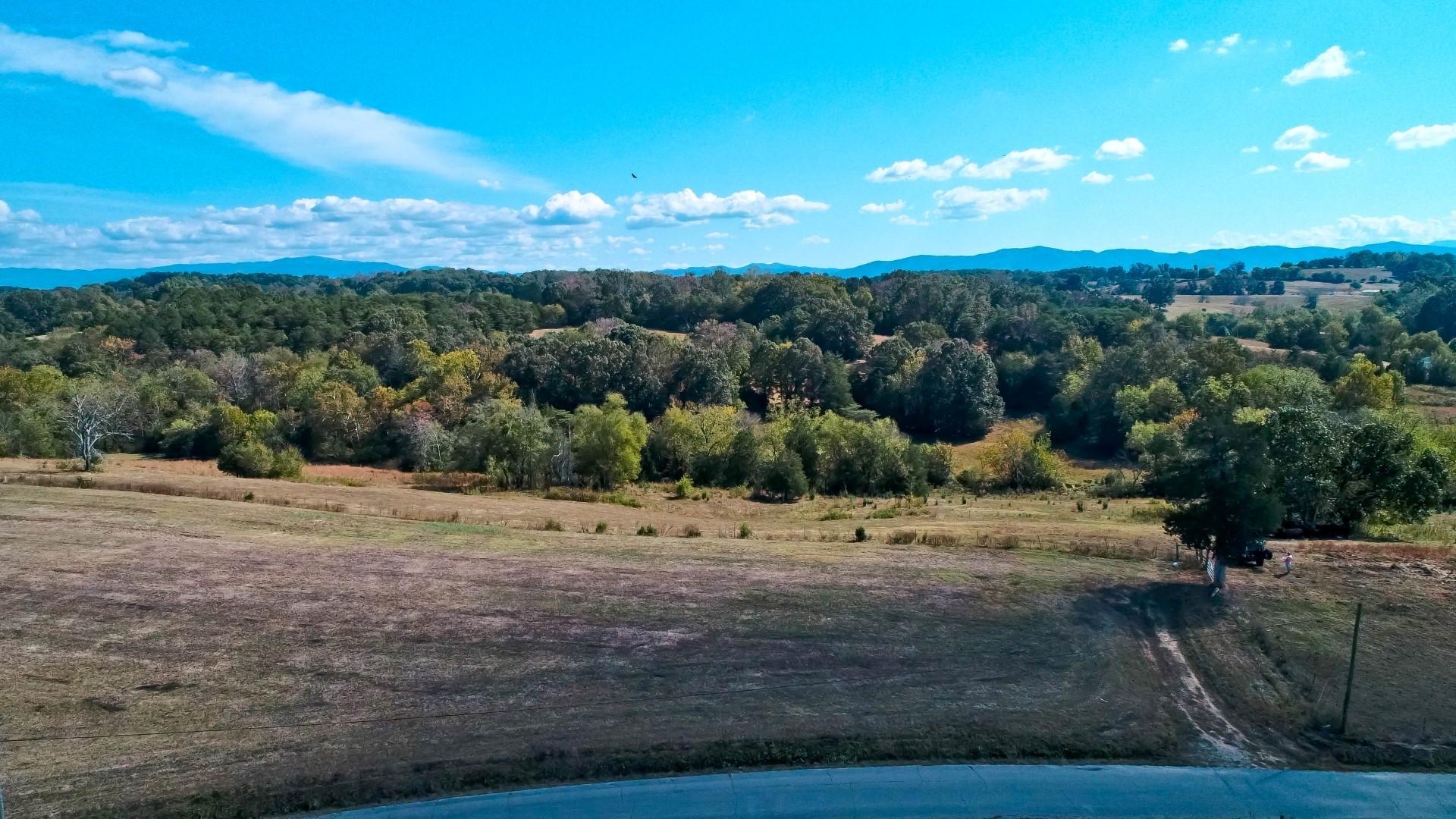 4 Timber Ridge Road Greeneville, TN 37743 - Photo 5 of 30 DJI_0074