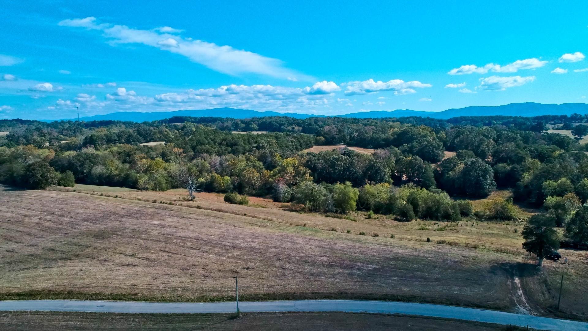 4 Timber Ridge Road Greeneville, TN 37743 - Photo 6 of 30 DJI_0075