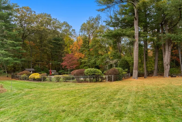 a view of a garden with a bench