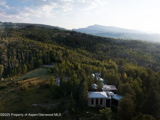 a view of outdoor space patio and tree s